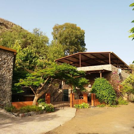 הוילה ואלסקיו Peaceful House Set On A Vineyard & Work Friendly מראה חיצוני תמונה