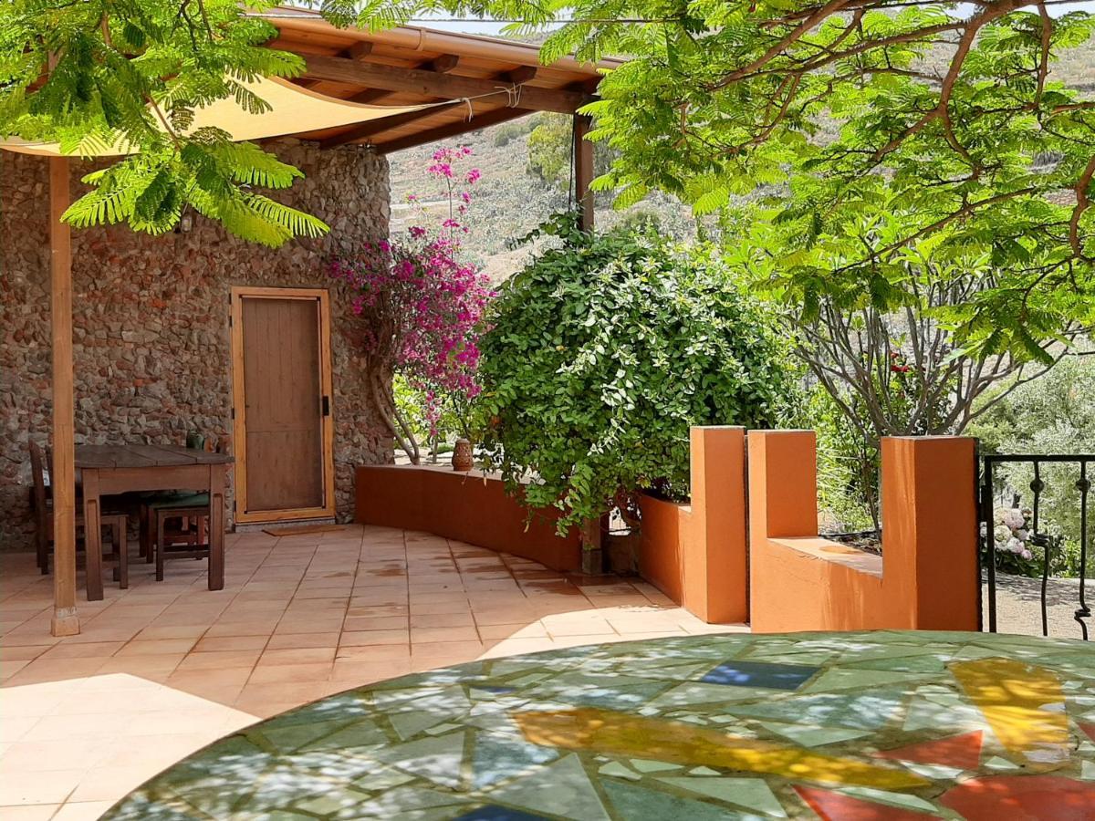 הוילה ואלסקיו Peaceful House Set On A Vineyard & Work Friendly מראה חיצוני תמונה