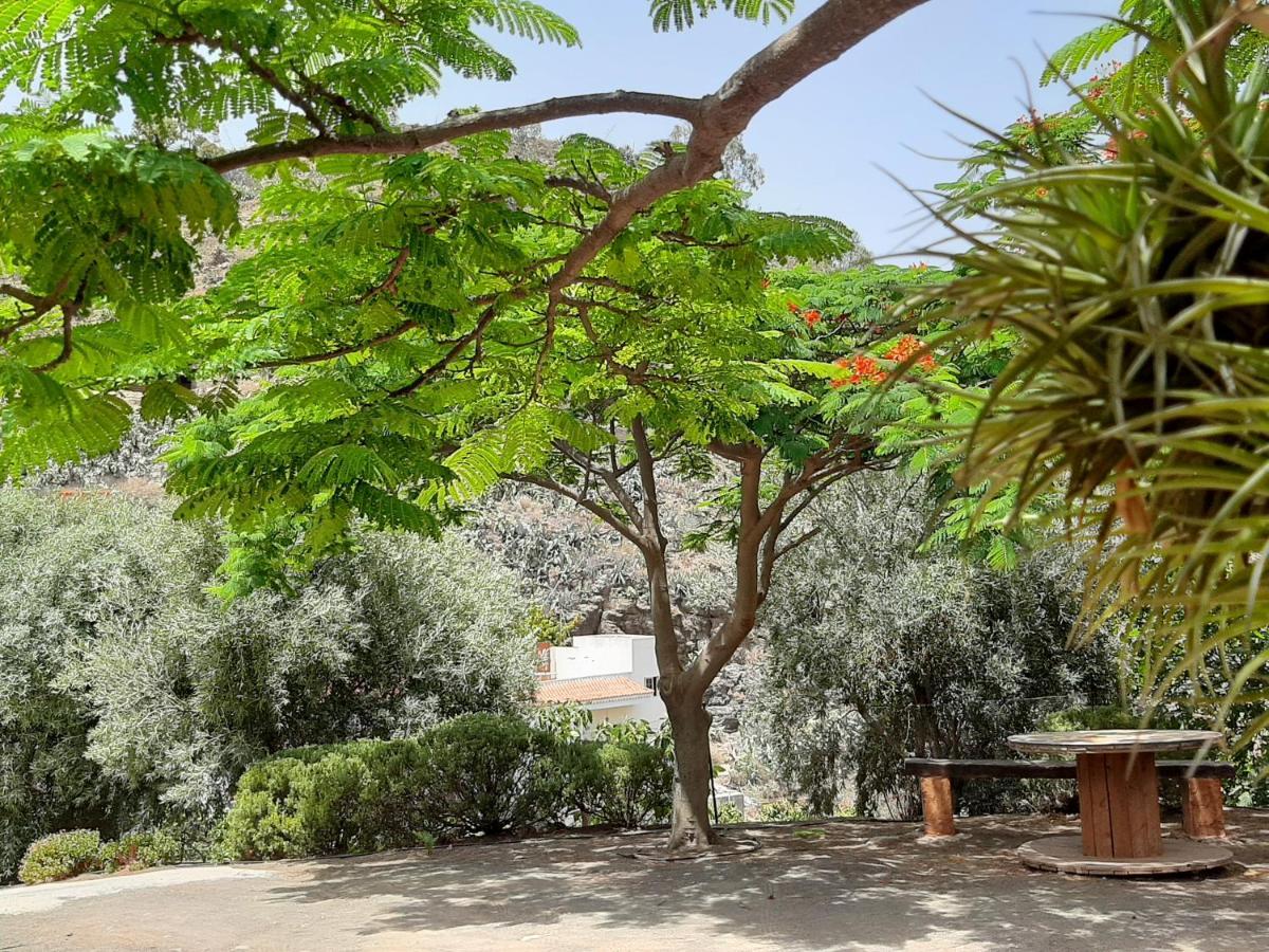 הוילה ואלסקיו Peaceful House Set On A Vineyard & Work Friendly מראה חיצוני תמונה