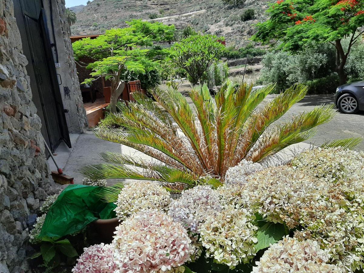 הוילה ואלסקיו Peaceful House Set On A Vineyard & Work Friendly מראה חיצוני תמונה