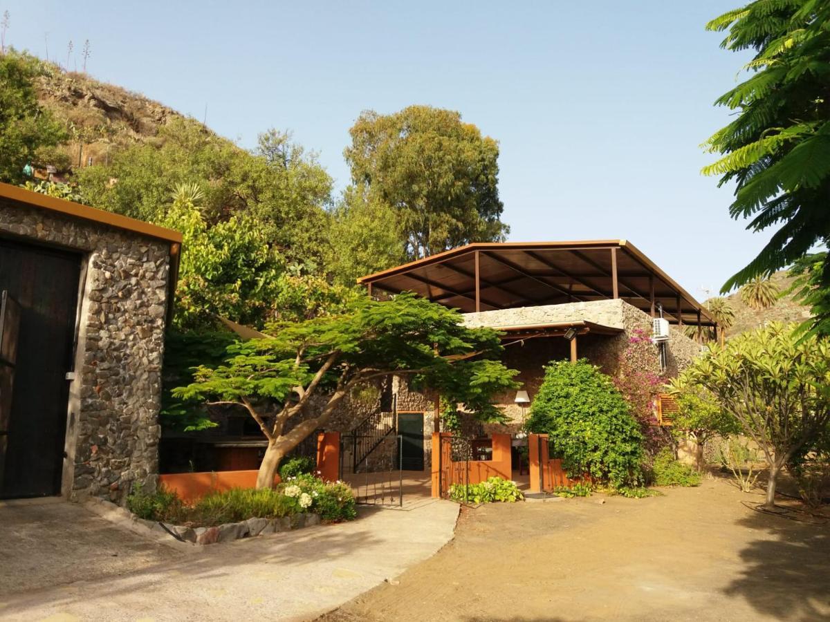 הוילה ואלסקיו Peaceful House Set On A Vineyard & Work Friendly מראה חיצוני תמונה