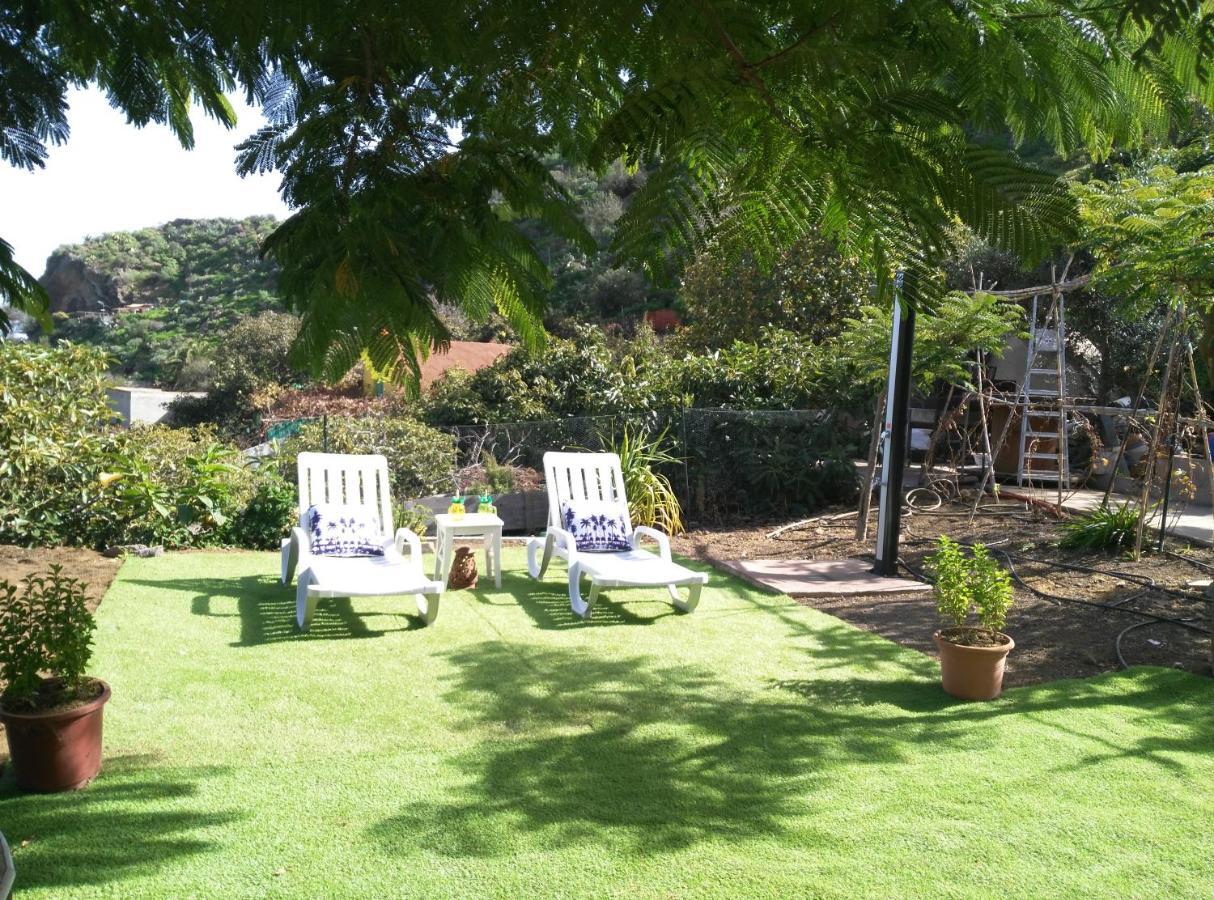 הוילה ואלסקיו Peaceful House Set On A Vineyard & Work Friendly מראה חיצוני תמונה