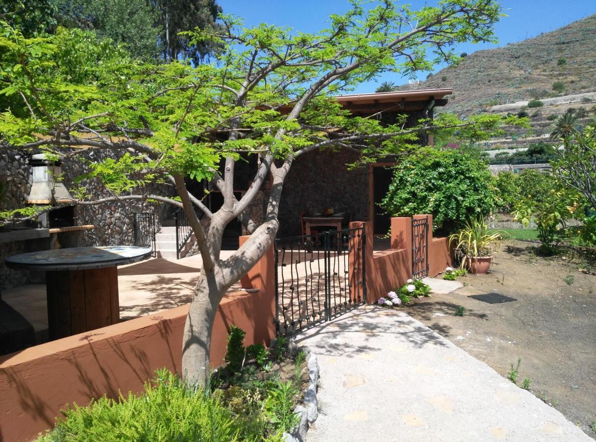 הוילה ואלסקיו Peaceful House Set On A Vineyard & Work Friendly מראה חיצוני תמונה