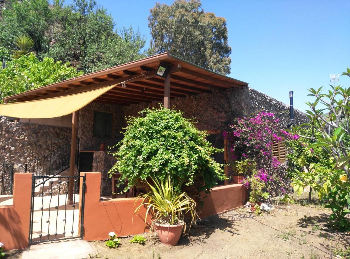 הוילה ואלסקיו Peaceful House Set On A Vineyard & Work Friendly מראה חיצוני תמונה